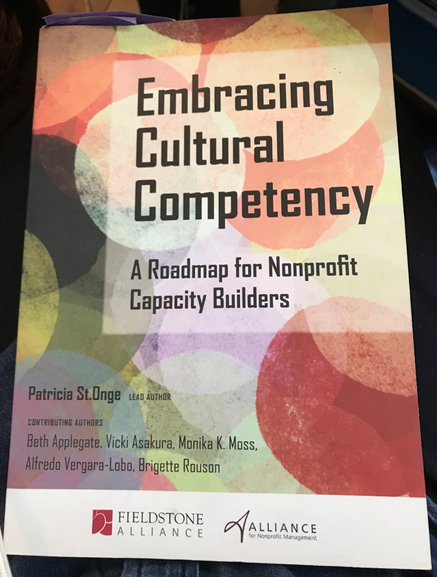Embracing Cultural Competency Book Cover
